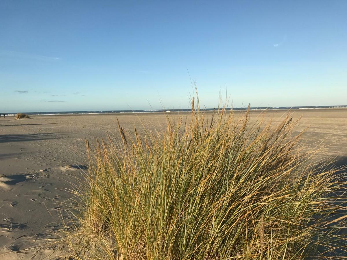 Strandlogement Om De Noord Schiermonnikoog Dış mekan fotoğraf